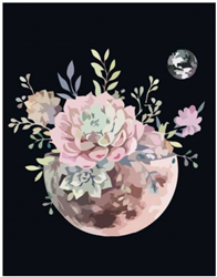 Rosa Rosa Start Schilder op Nummer Bloemenplaneet 35x45 cm