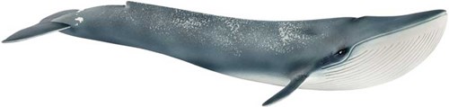 Schleich Safari - Blauwe Walvis 14806
