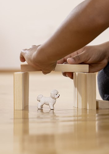 Schleich Farm World Bichon Frise Hond Speelfiguur - Boerderij Dier-2
