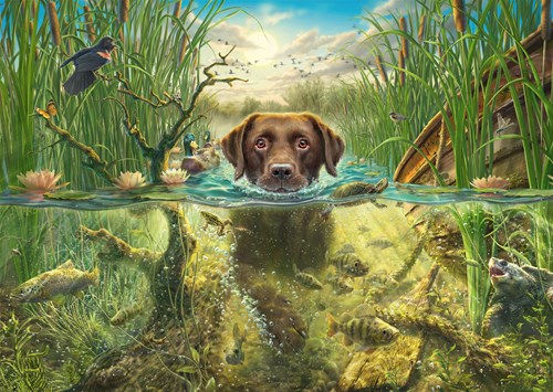 Schmidt legpuzzel - Brown Labrador in Cool Water - 1000 stukjes dierenpuzzel