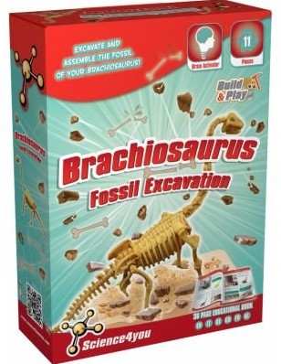 Science4you  wetenschapsdoos Brachiosaurus fossiele