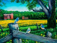 SunsOut legpuzzel zonnebloemen 500 stukjes - kleurrijke puzzel