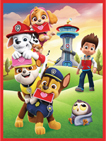 Paw Patrol puzzel en memory spel - 30 en 48 stukjes karton-2