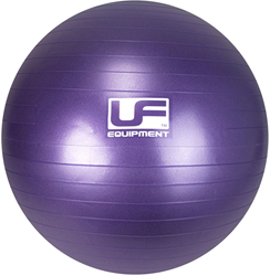 Urban Fitness 500kg Burst Weerstand Zwitserse Gymbal Paars - 55cm