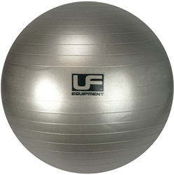 Urban Fitness 500kg Zware Weerstand Zwitserse Gymbal Zilver - 75cm