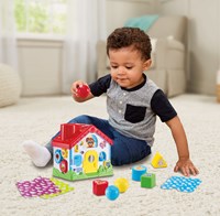 VTech educatief speelgoed Baby ontdek en speelhuis multicolor-2