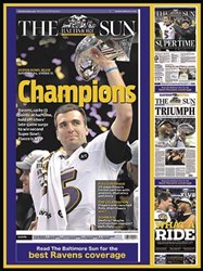 White Mountain Baltimore Ravens - 550 stukjes